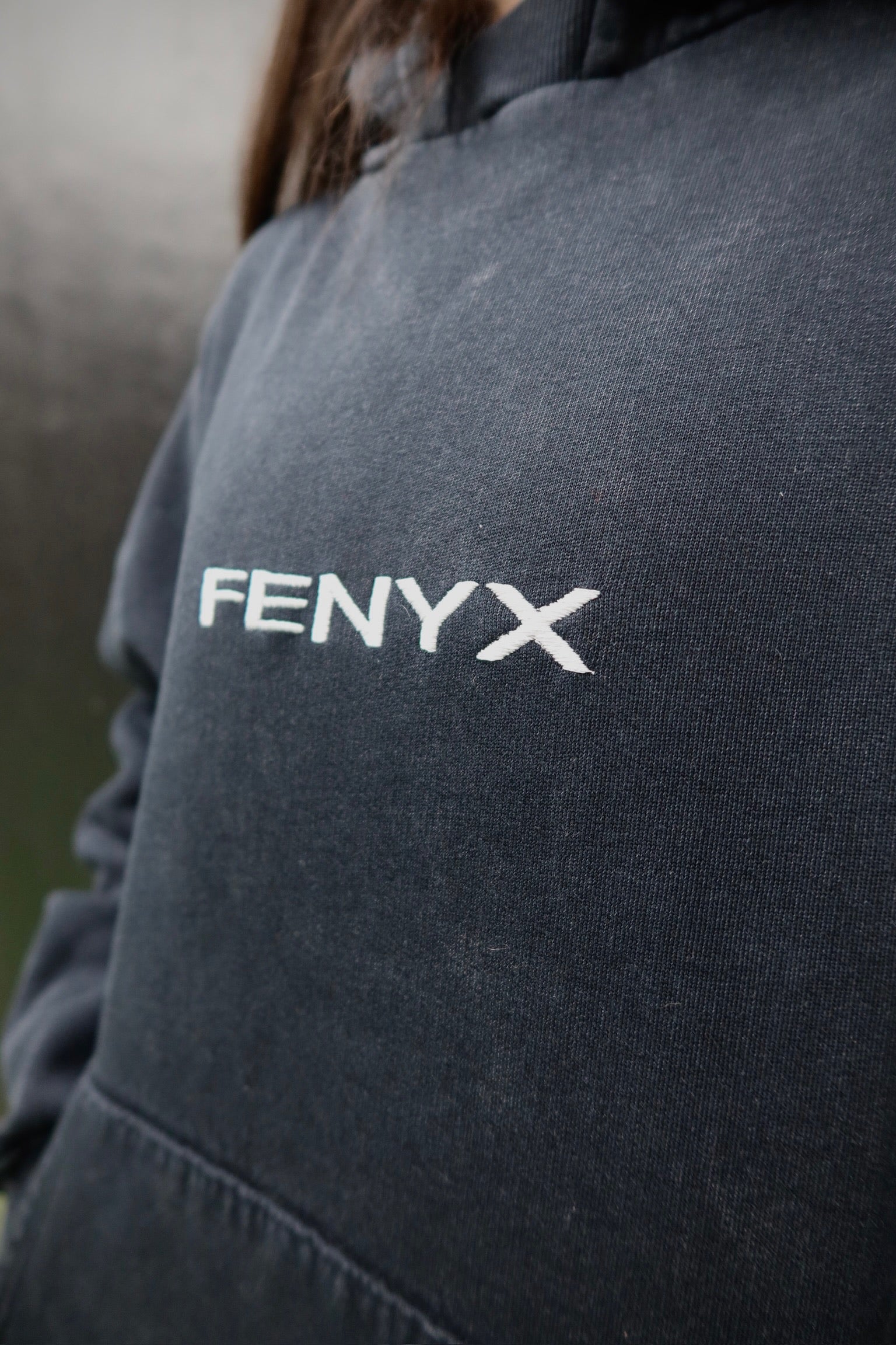Hoodie Boxy Fit Fenyx Origin