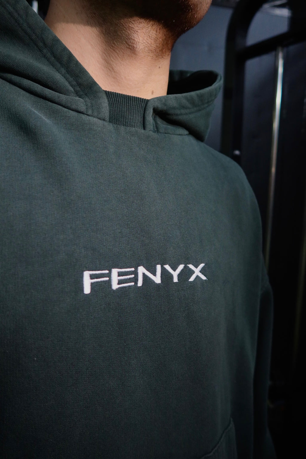 Hoodie Boxy Fit Fenyx Origin